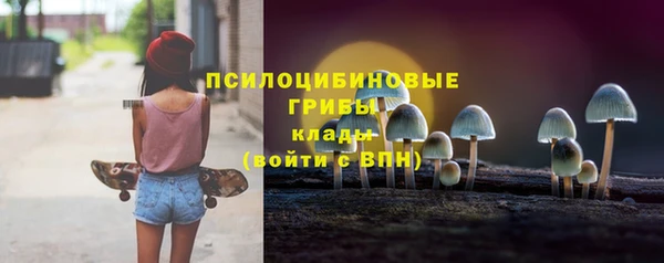 Альфа ПВП Алексин