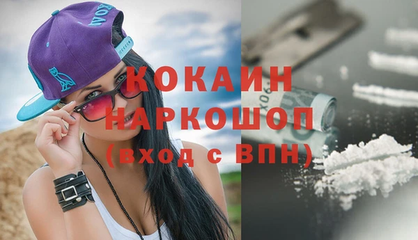 гидропоника Алзамай